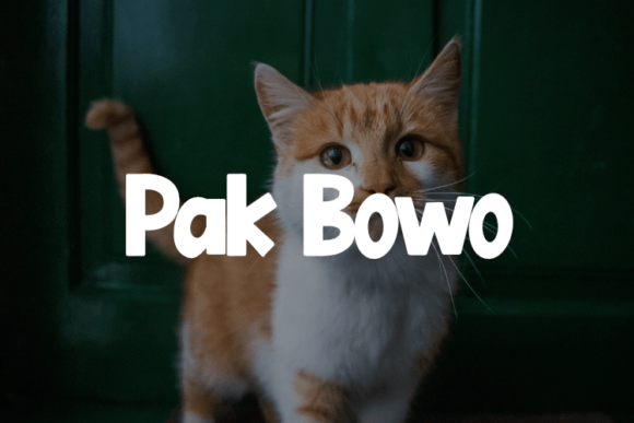 Pak Bowo: A Display Font for Bold Visual Storytelling